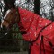 R426- Charlie 200g Combo Turnout Rug with Fully Detachable Hood